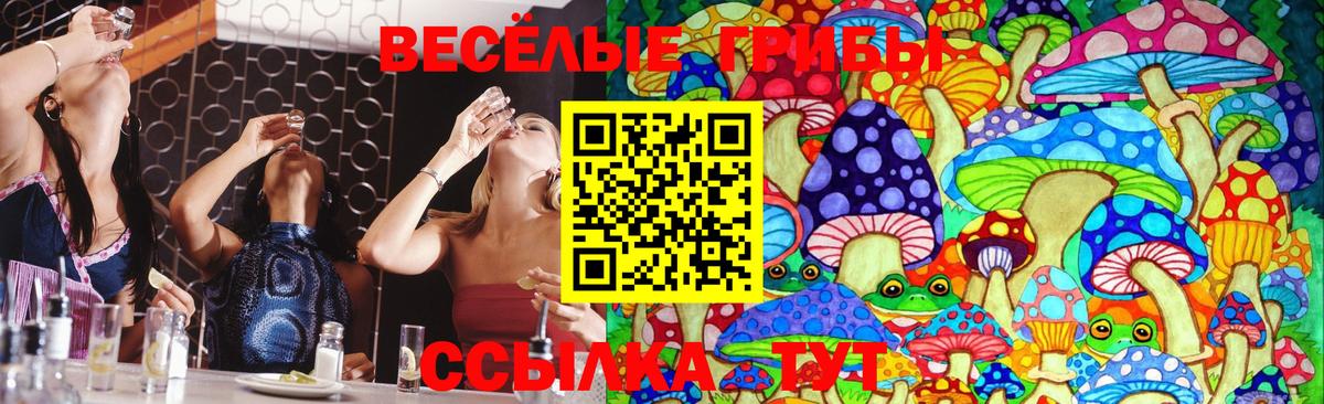 Фрязино  Псилоцибиновые грибы Psilocybe  где продают наркотики  Вход с VPN 