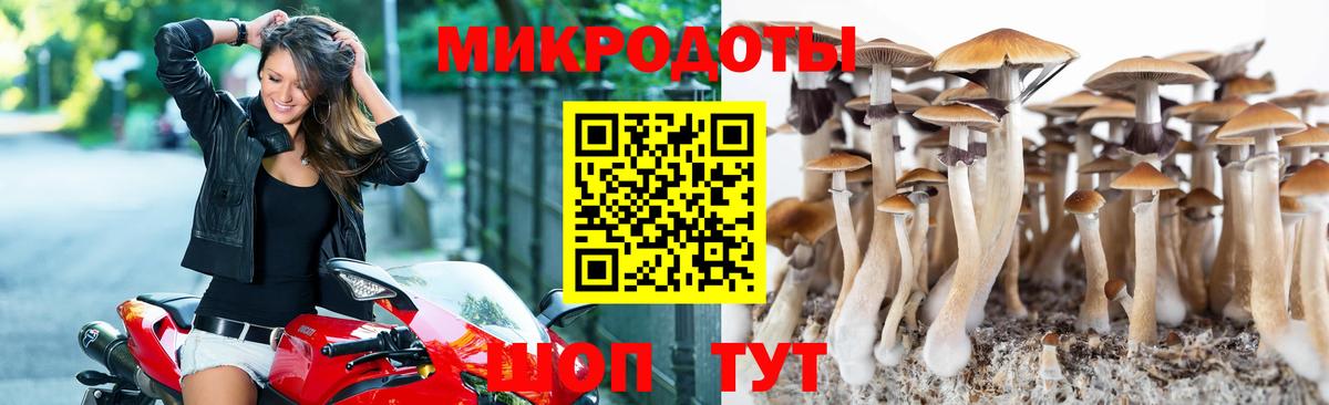 Псилоцибиновые грибы мухоморы Фрязино
